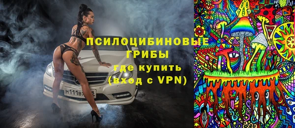 ГАЛЛЮЦИНОГЕННЫЕ ГРИБЫ Михайлов
