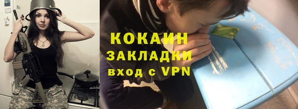 ГАЛЛЮЦИНОГЕННЫЕ ГРИБЫ Михайлов