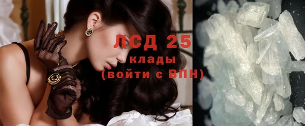 ГАЛЛЮЦИНОГЕННЫЕ ГРИБЫ Михайлов