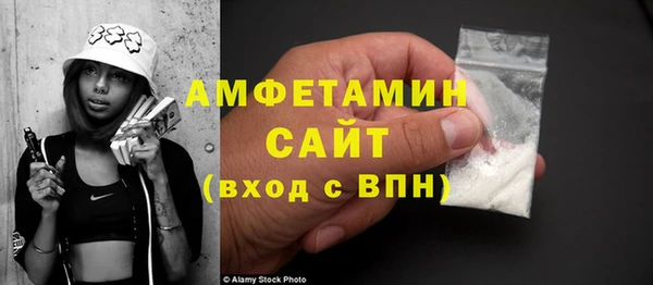 ГАЛЛЮЦИНОГЕННЫЕ ГРИБЫ Михайлов