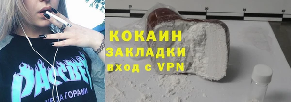 ГАЛЛЮЦИНОГЕННЫЕ ГРИБЫ Михайлов