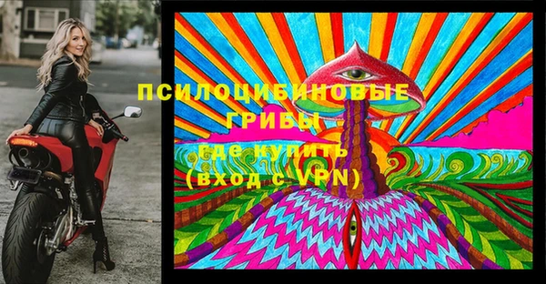 ГАЛЛЮЦИНОГЕННЫЕ ГРИБЫ Михайлов