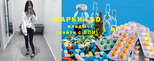 ГАЛЛЮЦИНОГЕННЫЕ ГРИБЫ Михайлов