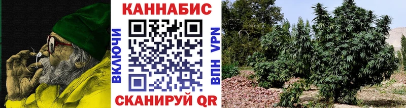 МАРИХУАНА сатива  закладка  Ува 